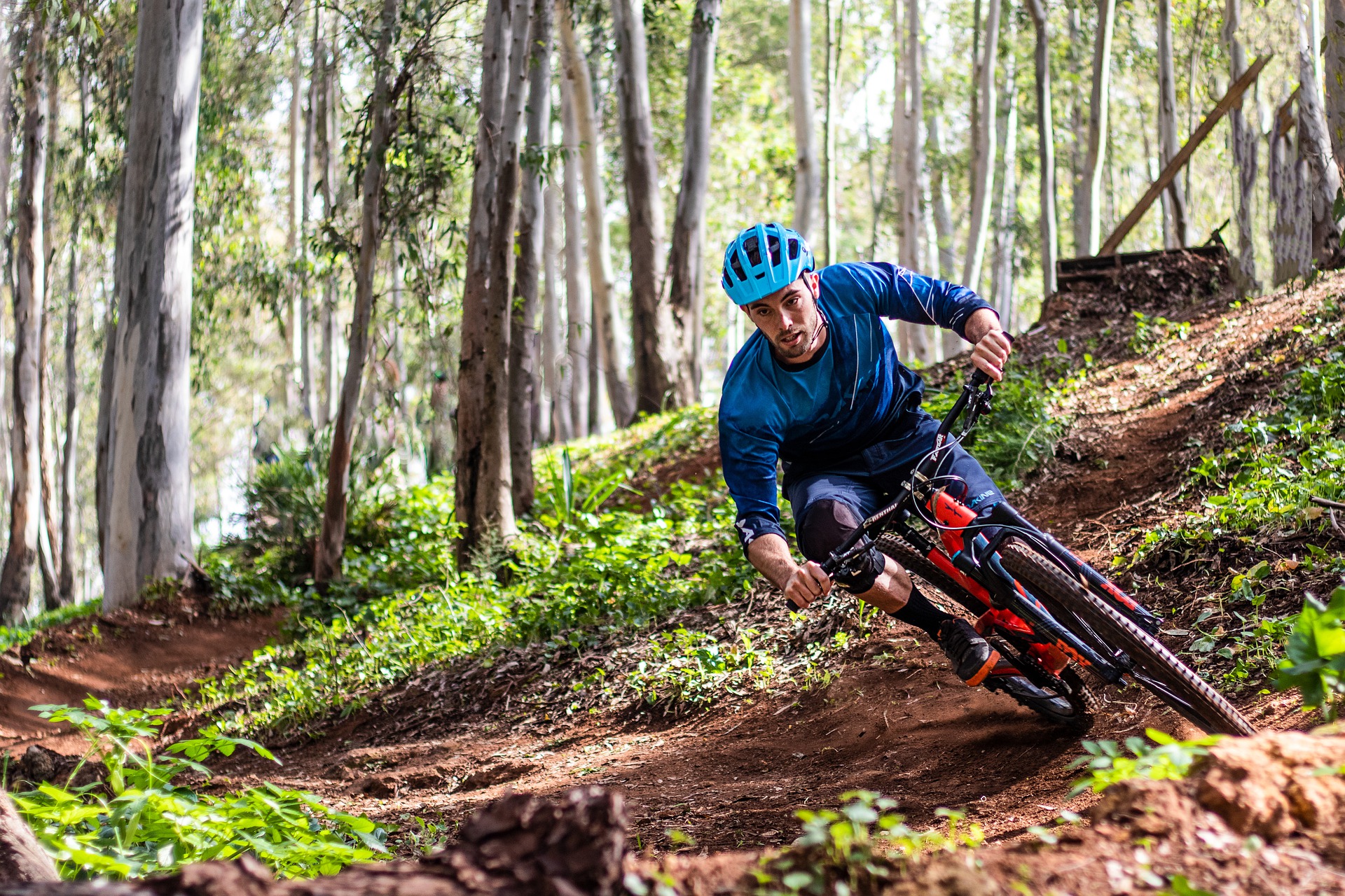 VCTA Awarded IMBA TAG for Harrison Park Trails & Bike Park Construction