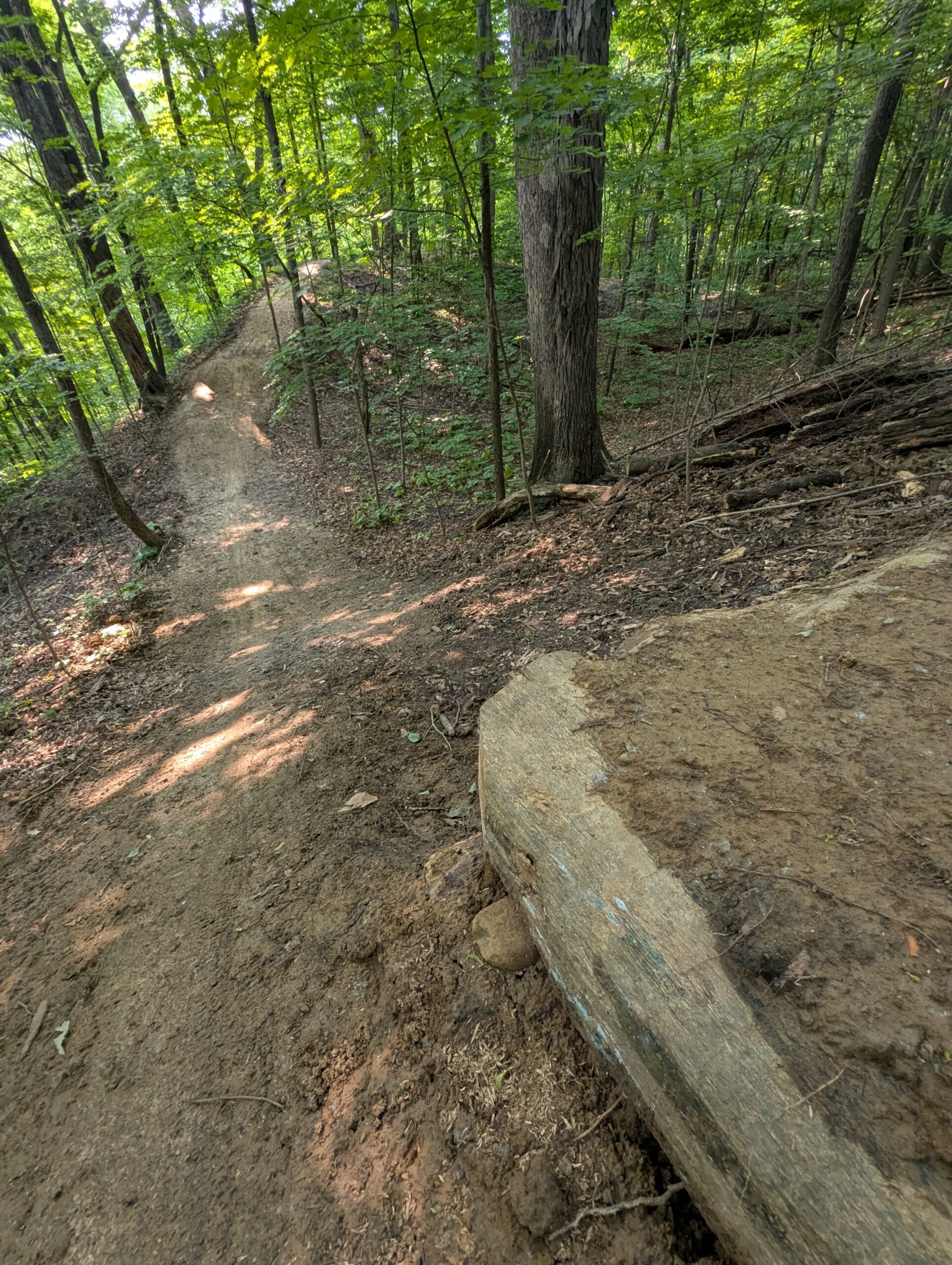 Officially Introducing: The Hills at Harrison Park West